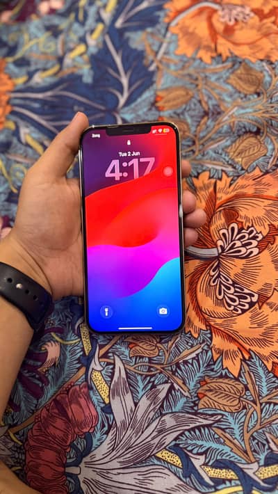 iphone 12 pro max PTA approved
