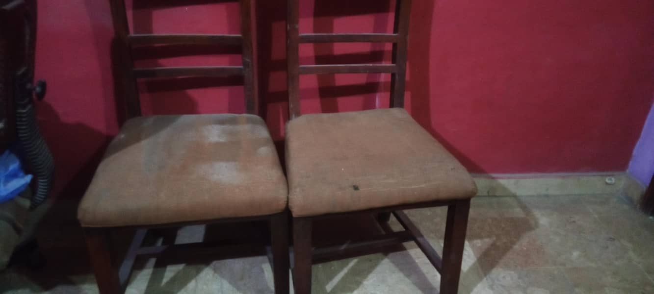 dining chair's 2