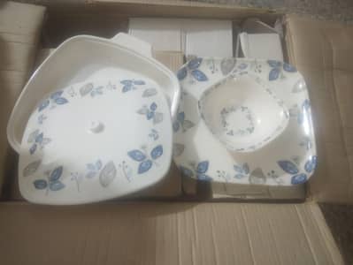 Elegent Brand new  dinner set