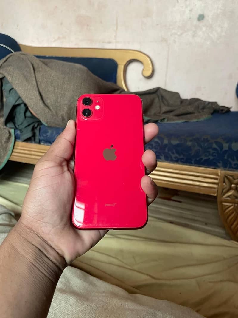 iPhone 11 0