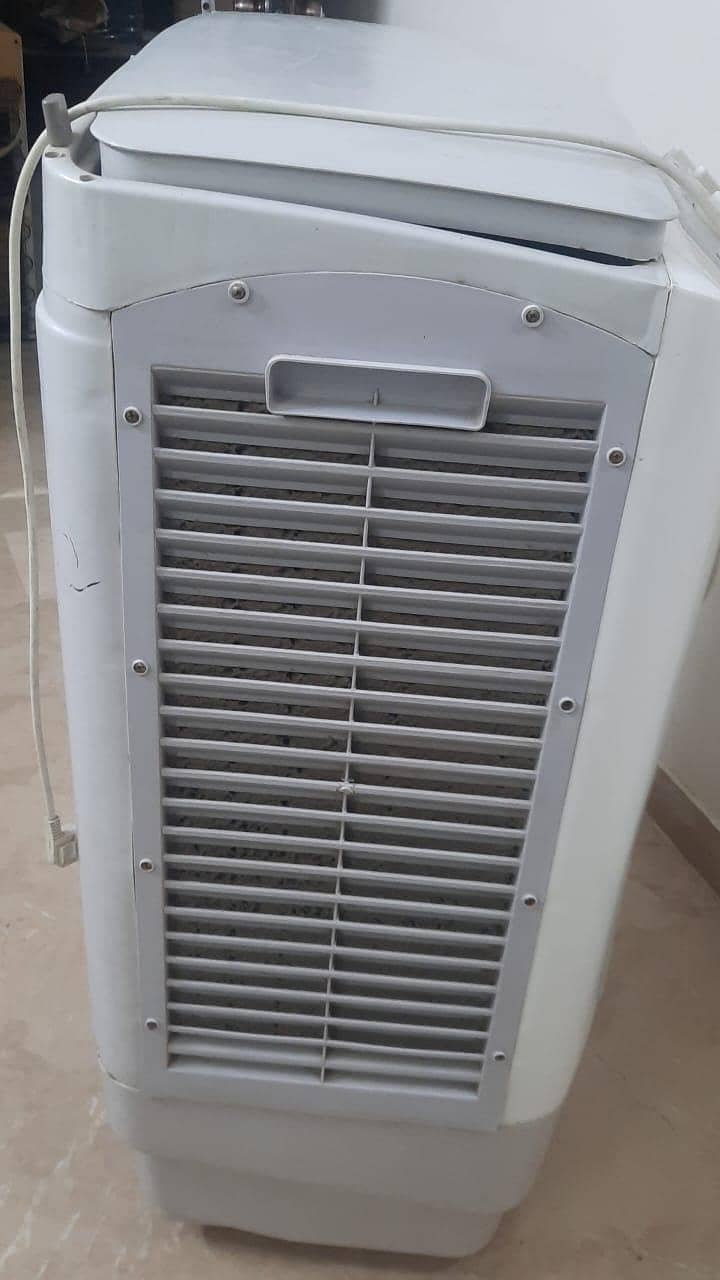 Rays Air collar 10