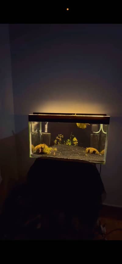 Aquarium