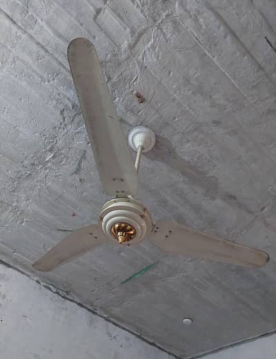 Beeta Good Condition Celling Fan For sale
