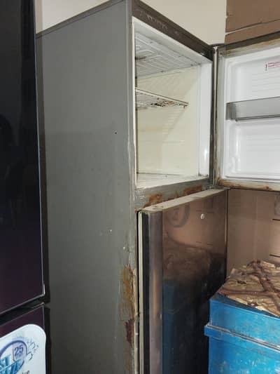 pel fridge for sale