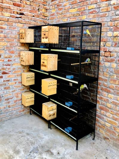 Iron Cages