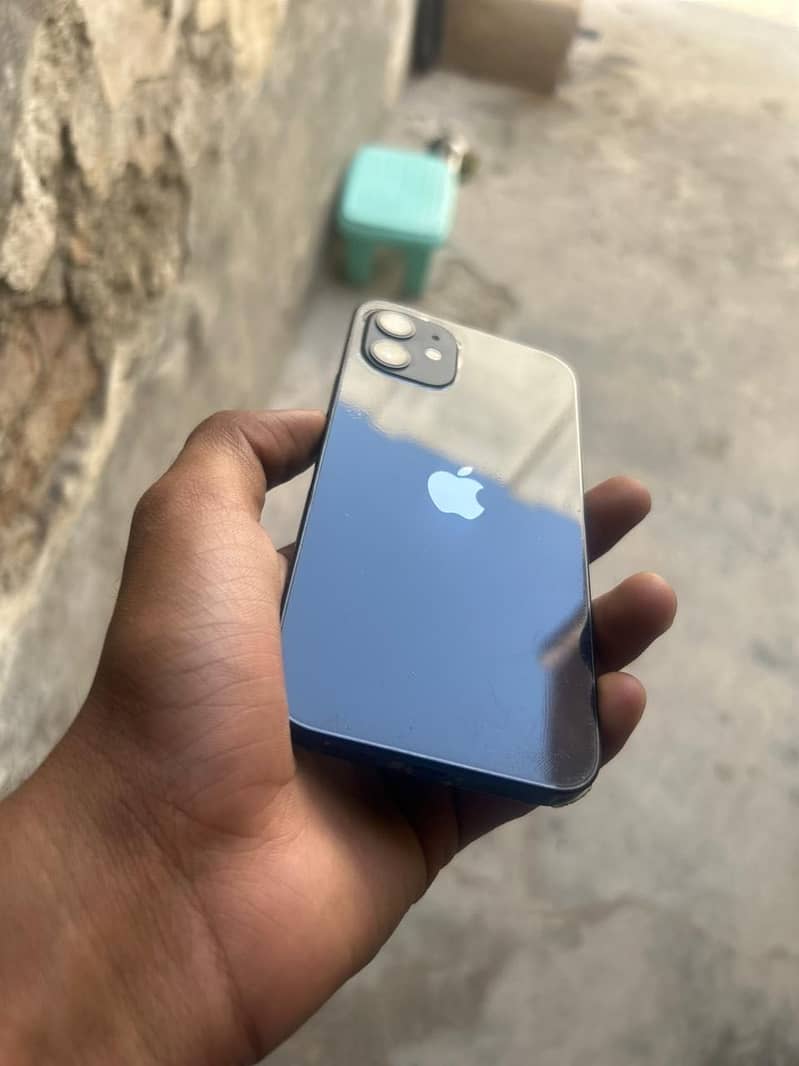 Apple iPhone 12 1