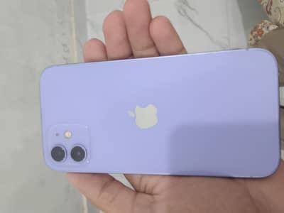Apple iPhone 12