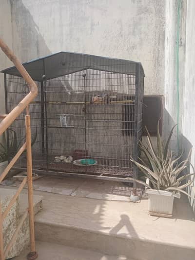 Big Bird Cage in Good Condition