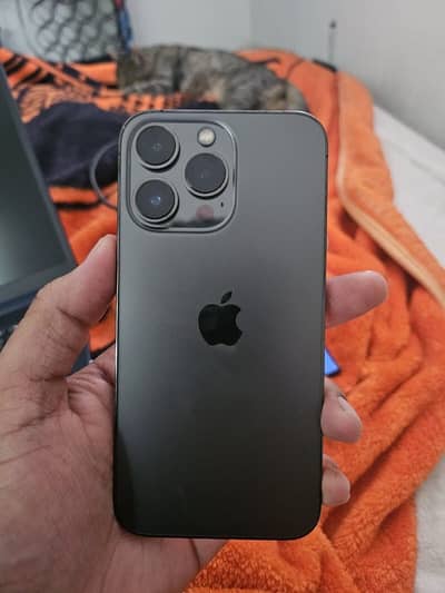 Apple iPhone 13 Pro Max