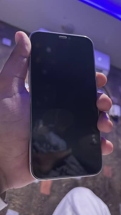 Apple iPhone 12 panel chng