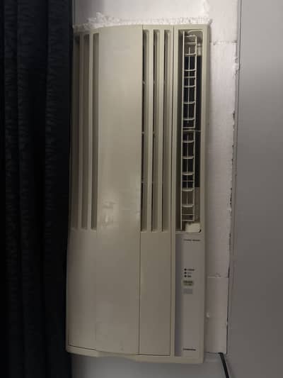 110 Japanese Ship AC With Converter