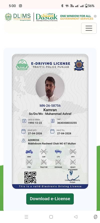 chauffeur driver