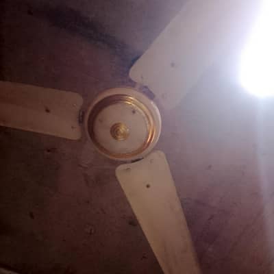 bijli Wala h