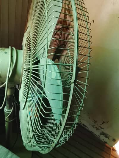 am new purchasing  fan