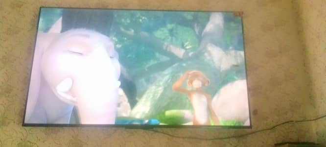 TCL led 55 smart wifi