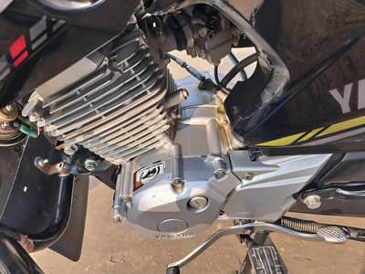 Yamaha YBRG