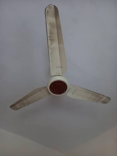 AC, DC fan for sale