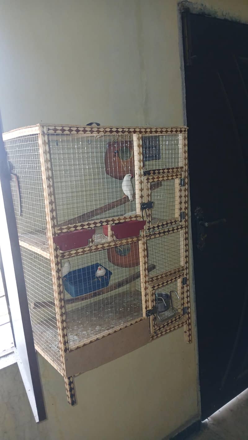 finch 0