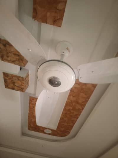argent sail celling gfc fan 2