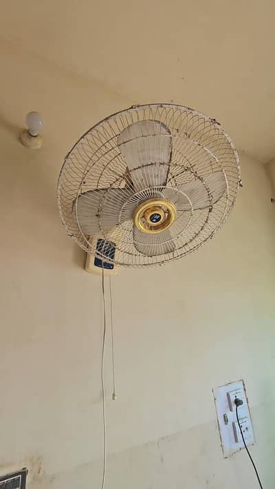 Pak fan Bracket fan for sale
