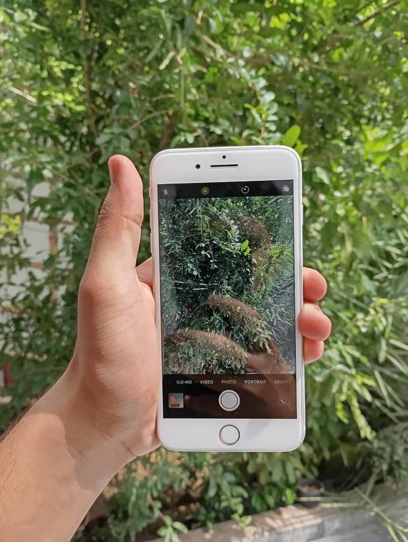 Apple iPhone 8 Plus 1