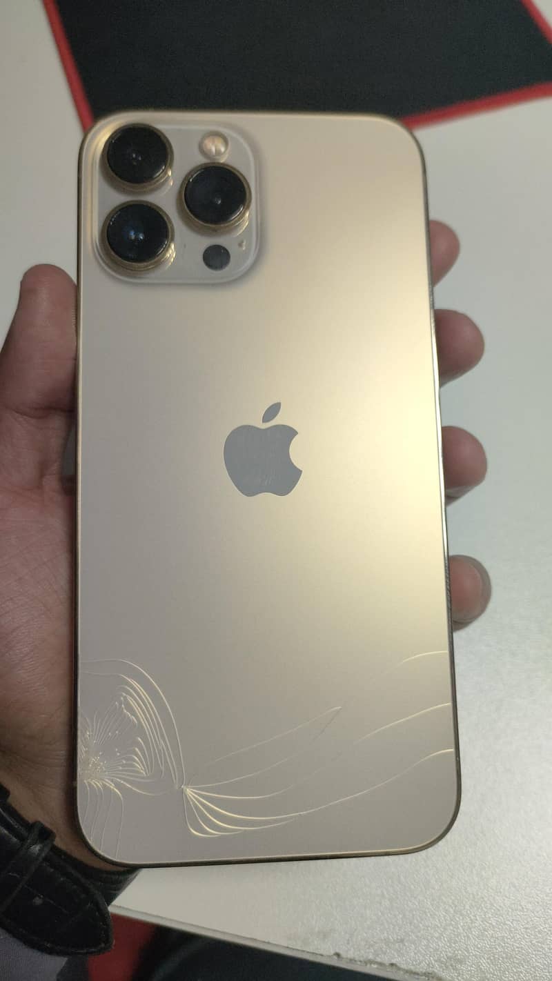 Apple iPhone 13 Pro Max 1