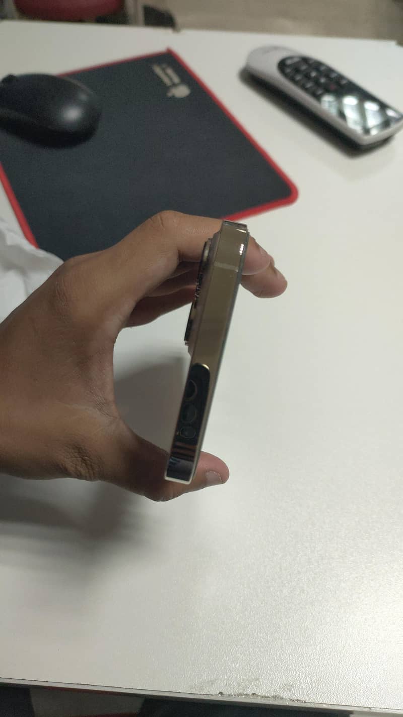 Apple iPhone 13 Pro Max 4