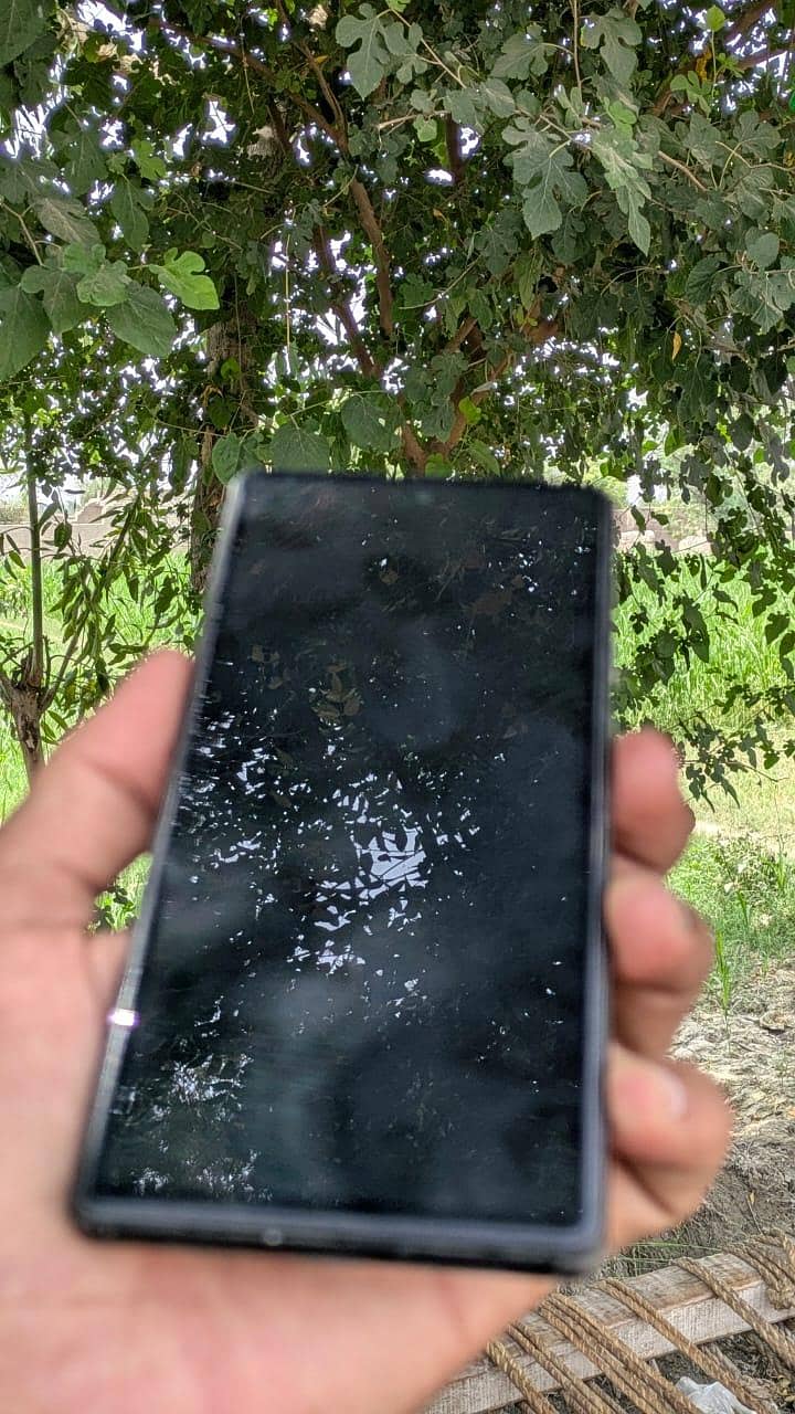Google Pixel 6 2