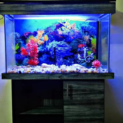 Aquarium 3feet