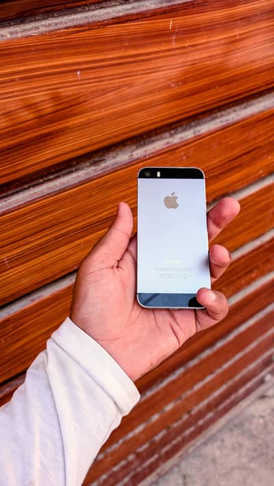 Apple iPhone 5s Factory Unlocked 10/10