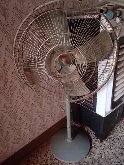 urgent sale