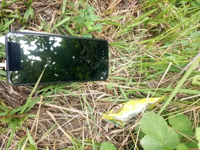 Vivo Y03t