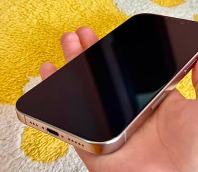 Apple iPhone 16 Pro