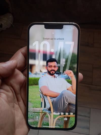 Apple iPhone 13 Pro Max