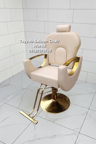 Salon Chair/Saloon Chair/Hair Wash Unit/Pedicure/Facial Bed/Trolley