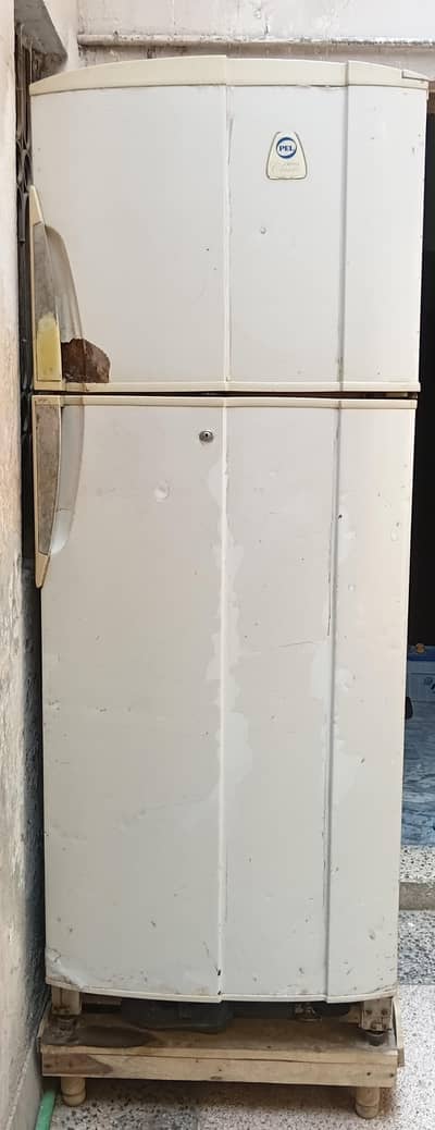 PEL jumbo refrigerator