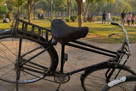 Sohrab Black Colur