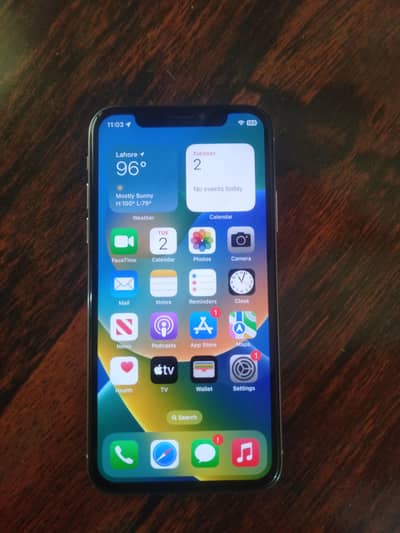 Apple iPhone X