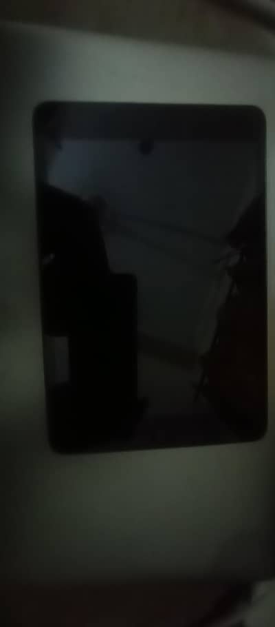 Ipad Mini 5