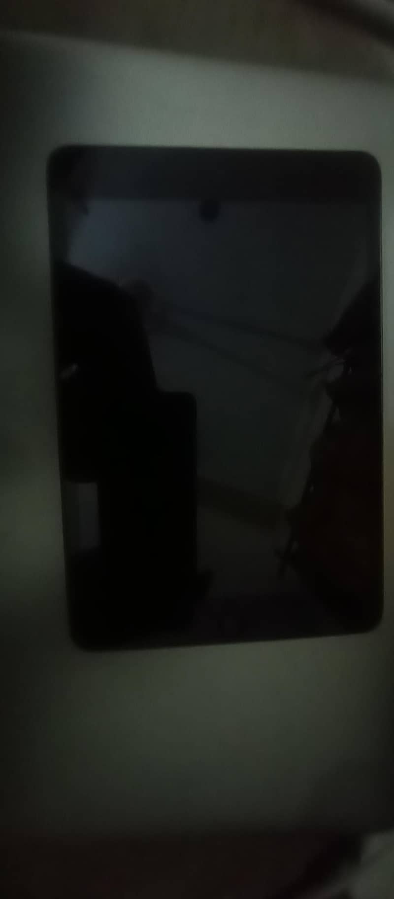 Ipad Mini 5 0