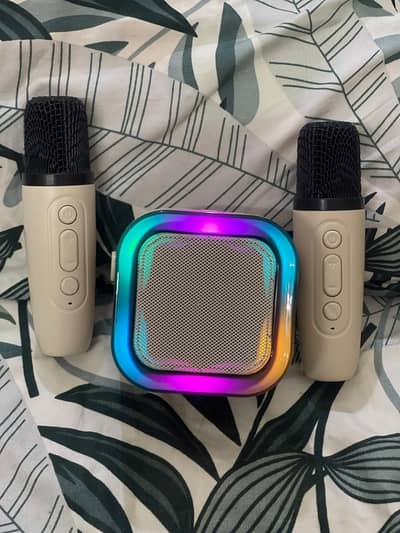 dual mic bluetooth karaoke speakers