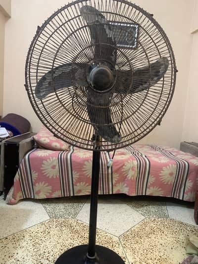 pedestal Royal fan