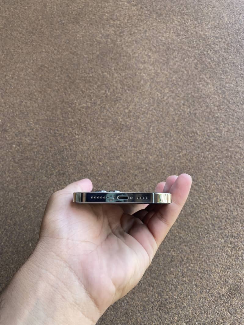iPhone 13 Pro Max 1
