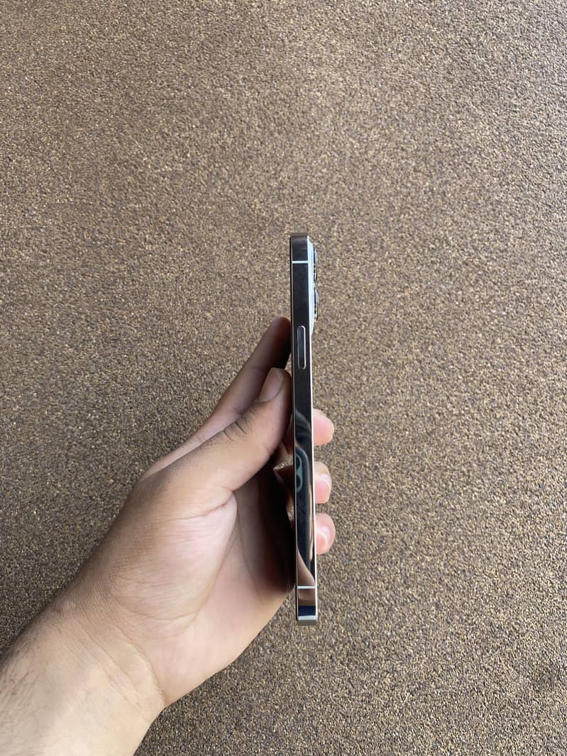 iPhone 13 Pro Max 2