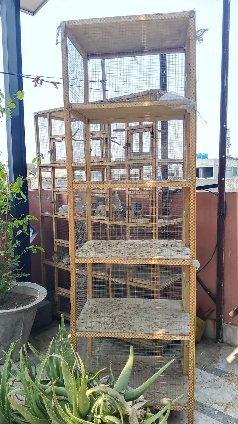 cages 1