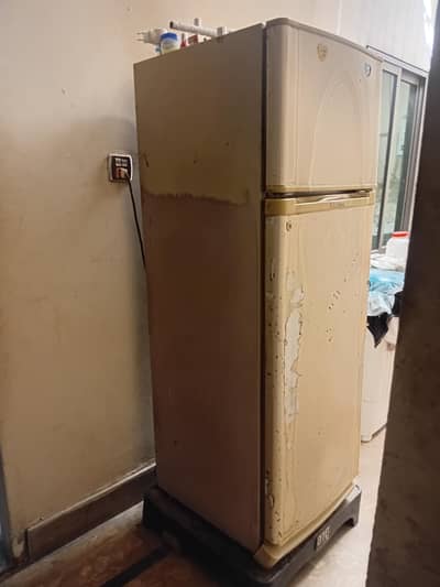 Fridge