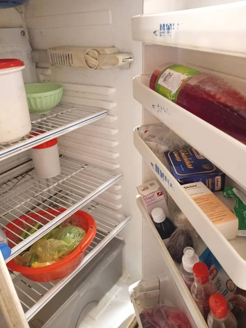 Fridge 1
