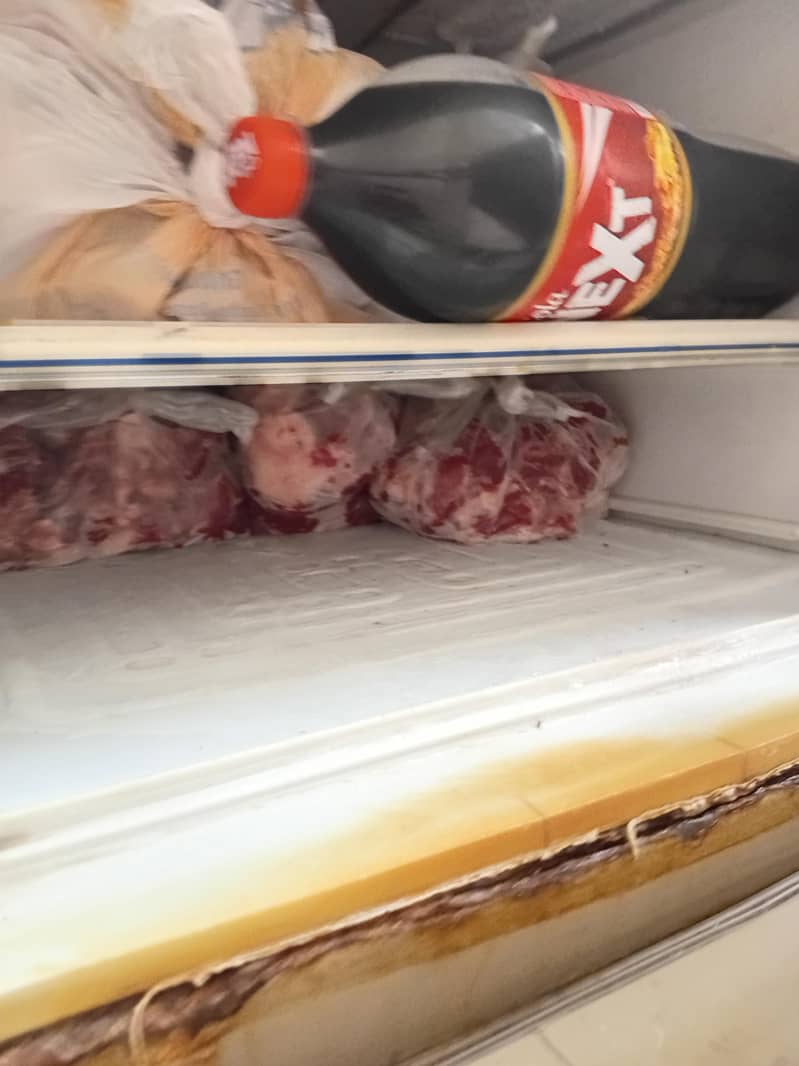 Fridge 2