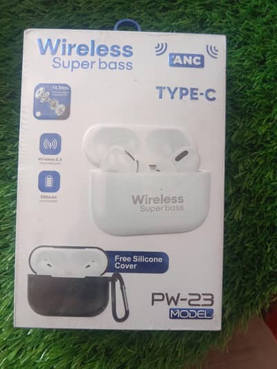ANC type c earbuds
