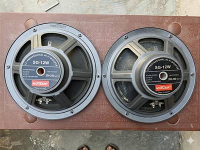 Konzert 12 inch Professional Hi-fi Woofer 2 piece